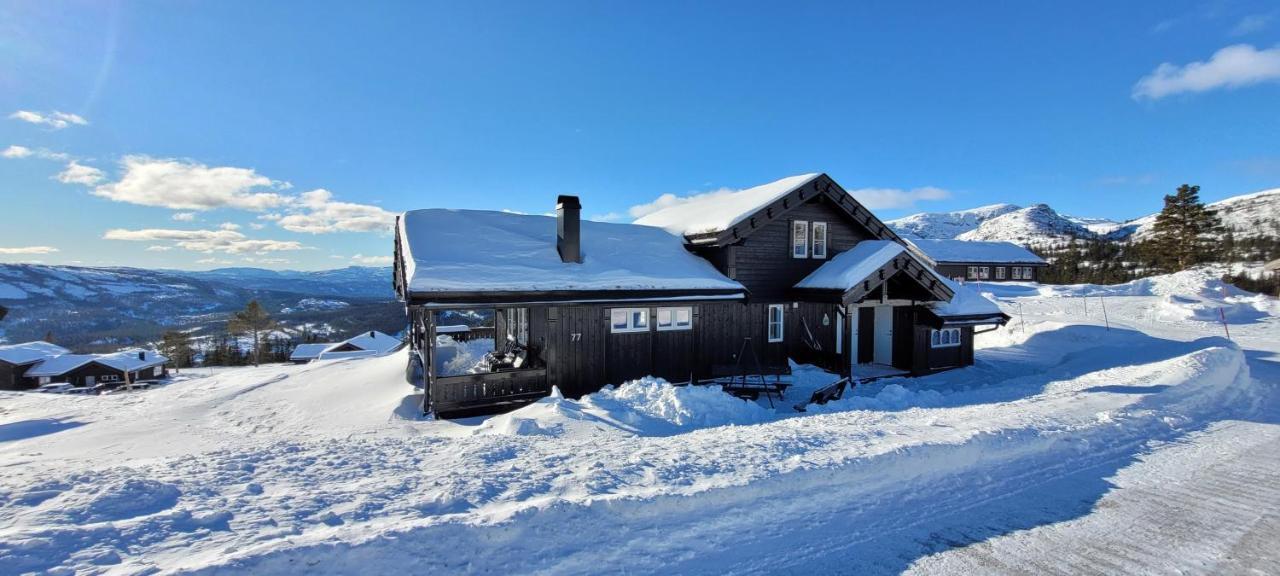 Wonderful Cabin With Amazing Mountain - View Lifjell 외부 사진