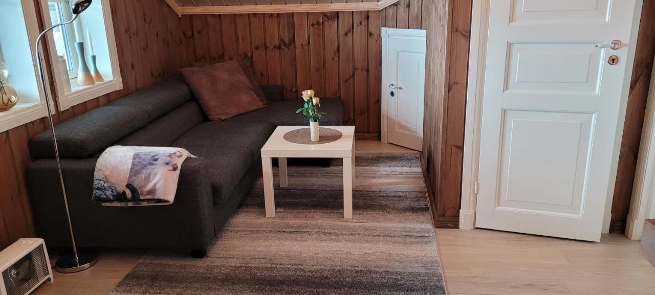 Wonderful Cabin With Amazing Mountain - View Lifjell 외부 사진